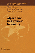 Algorithms in Algebraic Geometry