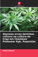 Algumas ervas daninhas comuns na cultura do trigo em Chamkani Peshawar Kpk, Paquist?o