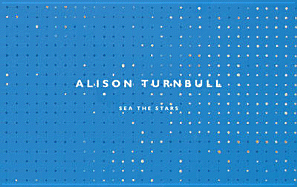 Alison Turnbull - Sea the Stars