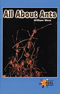 All about Ants