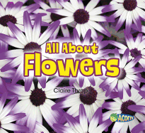 All about Flowers