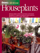 All about Houseplants