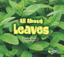 All about Leaves