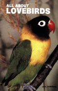 All about Lovebirds