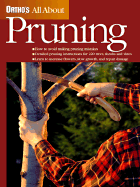 All about Pruning