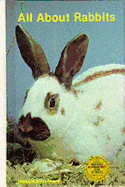 All about Rabbits