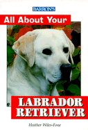 All About Your Labrador Retriever