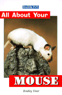All about Your Mouse