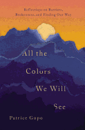 All the Colors We Will See: Reflections on Barriers, Brokenness, and Finding Our Way