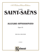 Allegro Appassionato, Op. 43