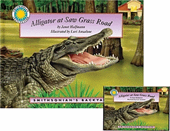 Alligator at Saw Grass Road
