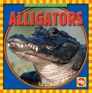 Alligators - Pohl, Kathleen