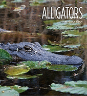 Alligators