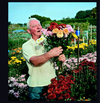 Allotments - Buurman, Andrew (Photographer)