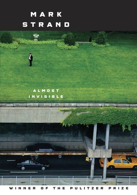 Almost Invisible - Strand, Mark