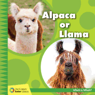Alpaca or Llama