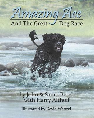 Amazing Ace - Brock, Sarah, and Althoff, Harry, and Brock, John