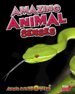 Amazing Animal Senses