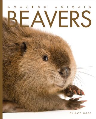 Amazing Animals Beavers - Riggs, Kate