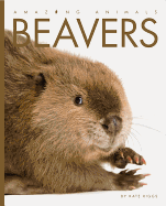 Amazing Animals: Beavers