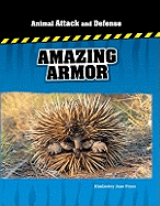 Amazing Armor