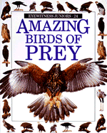 Amazing Birds of Prey