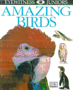 Amazing Birds
