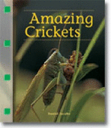 Amazing Crickets (Inquizitive, 2) - Jacobs, Daniel