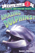 Amazing Dolphins!