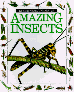 Amazing Insects