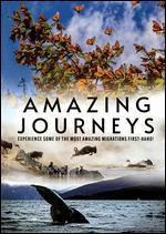 Amazing Journeys