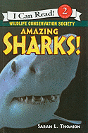 Amazing Sharks!