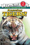 Amazing Tigers