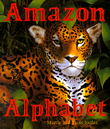 Amazon Alphabet