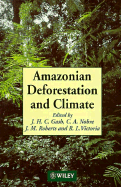 Amazonian deforestation and climate
