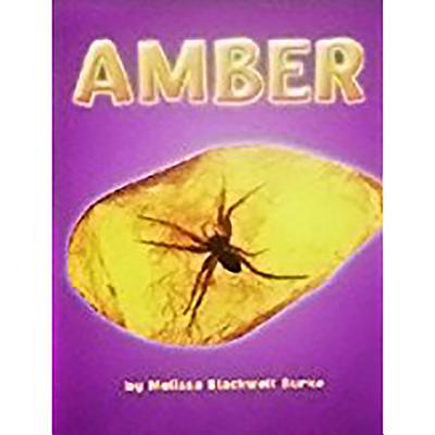 Amber: Ind Bk Lv3 Chp3 on Level - Science