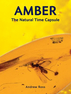 Amber: The Natural Time Capsule