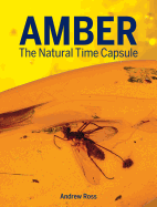 Amber: The Natural Time Capsule