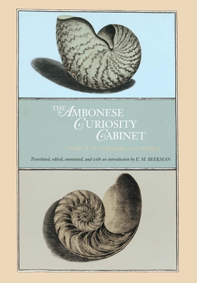 Ambonese Curiosity Cabinet - Rumphius, Georgius Everhardus, and Sleigh, Robert C, Jr. (Translated by), and Look, Brandon (Contributions by)