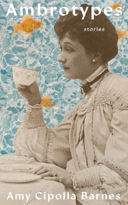Ambrotypes - Barnes, Amy Cipolla