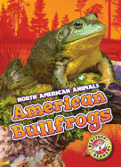 American Bullfrogs