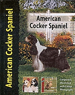 American cocker spaniel