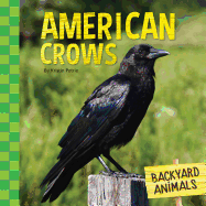 American Crows