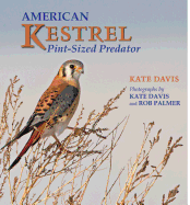 American Kestrel: Pint-Sized Predator
