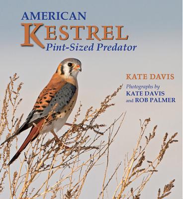 American Kestrel: Pint-Sized Predator - Davis, Kate, and Palmer, Rob (Photographer)