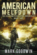 American Meltdown: Book Two of the Economic Collapse Chronicles