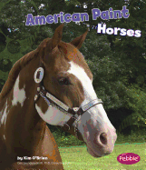 American Paint Horses