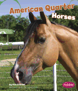 American Quarter Horses