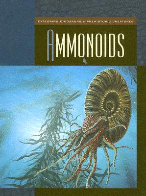 Ammonoids - Gray, Susan H