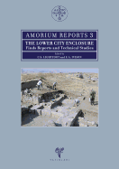 Amorium Reports 3: Lower City Enclosure. Finds Reports and Technical Studies